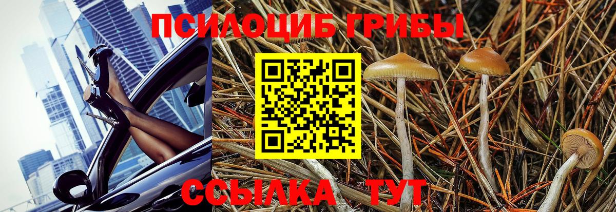 Псилоцибиновые грибы мицелий Протвино