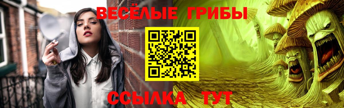 Псилоцибиновые грибы GOLDEN TEACHER  купить наркоту  Протвино  Вход с VPN  Псилоцибиновые грибы Psilocybine cubensis 